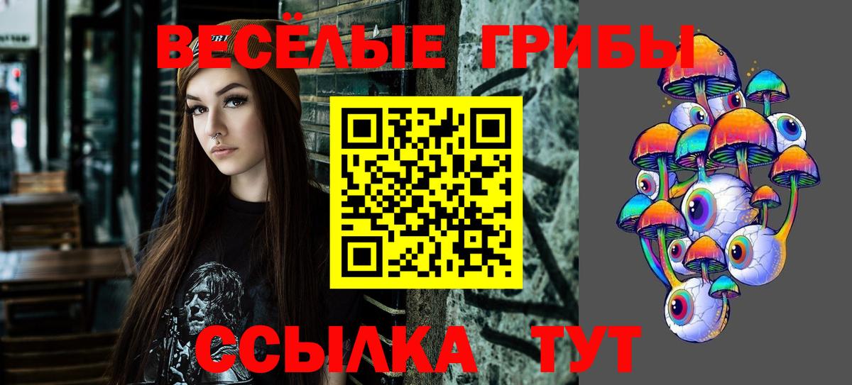Псилоцибиновые грибы Psilocybe Мирный